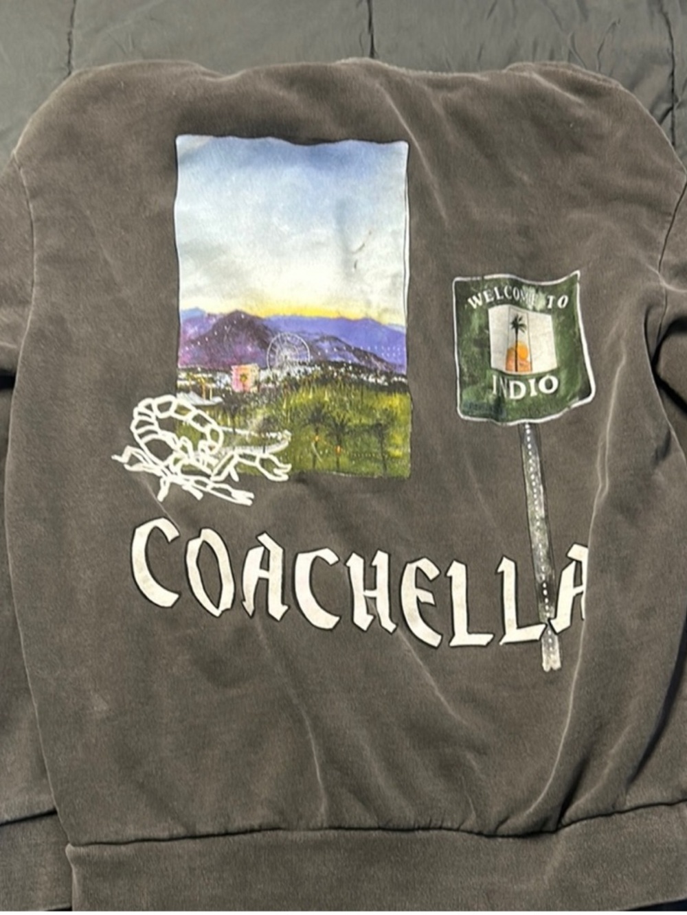 Coachella Graphic Pullover Sweatshirt - Charcoal